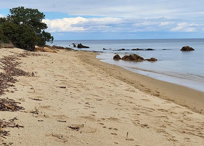 Le Pavoncelle Prázdninový dům Budoni