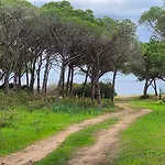 Hébergement de vacances Le Pavoncelle Budoni