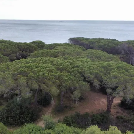 Le Pavoncelle Holiday home