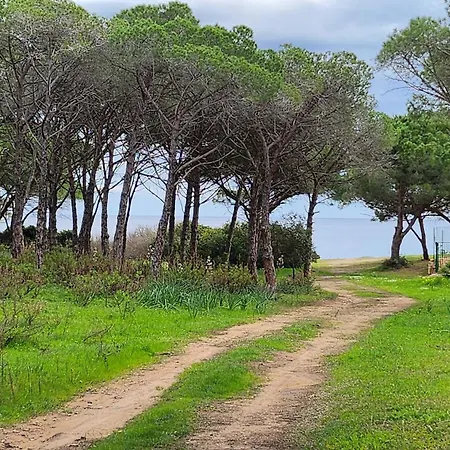 Vakantiehuis Le Pavoncelle Budoni