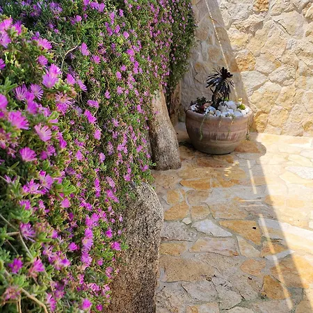 Casa vacanze Le Pavoncelle Budoni