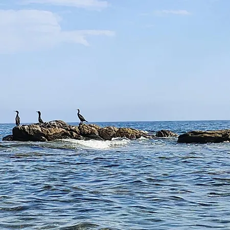 Σπίτι διακοπών Le Pavoncelle Budoni