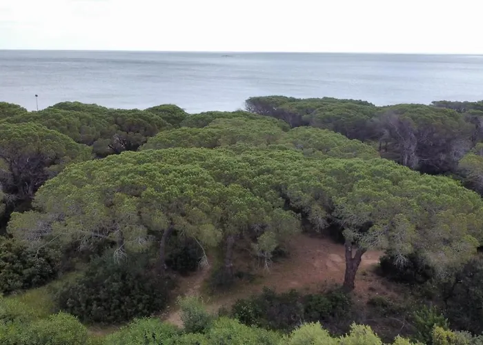 Le Pavoncelle Дом отдыха