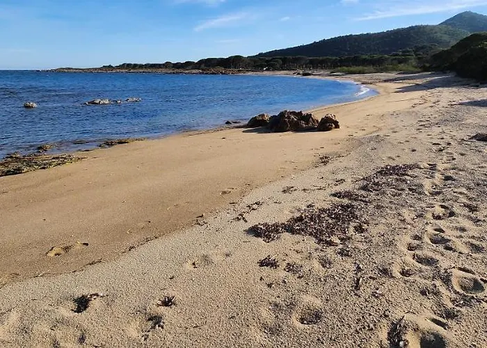 Le Pavoncelle Будони