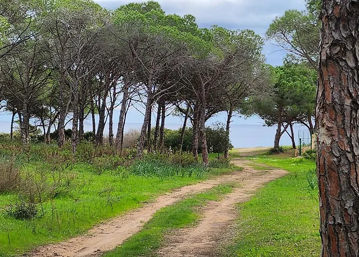 Дом отдыха Le Pavoncelle Будони