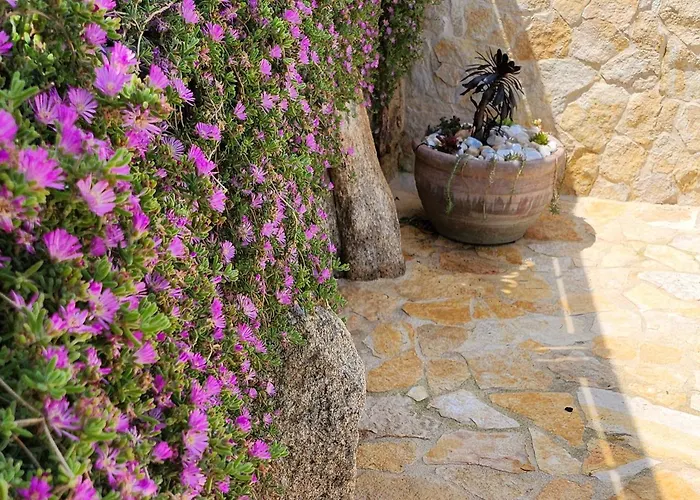 Дом отдыха Le Pavoncelle Будони